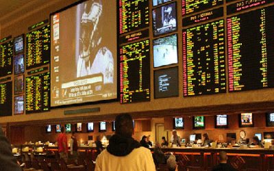 More States Equals Big Opportunity for Bettors